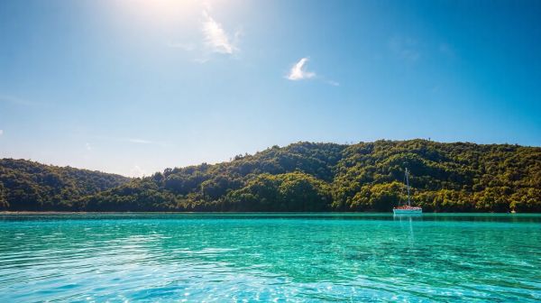 Top 5 raisons de choisir Lagoon pour Internet en Nouvelle-Calédonie